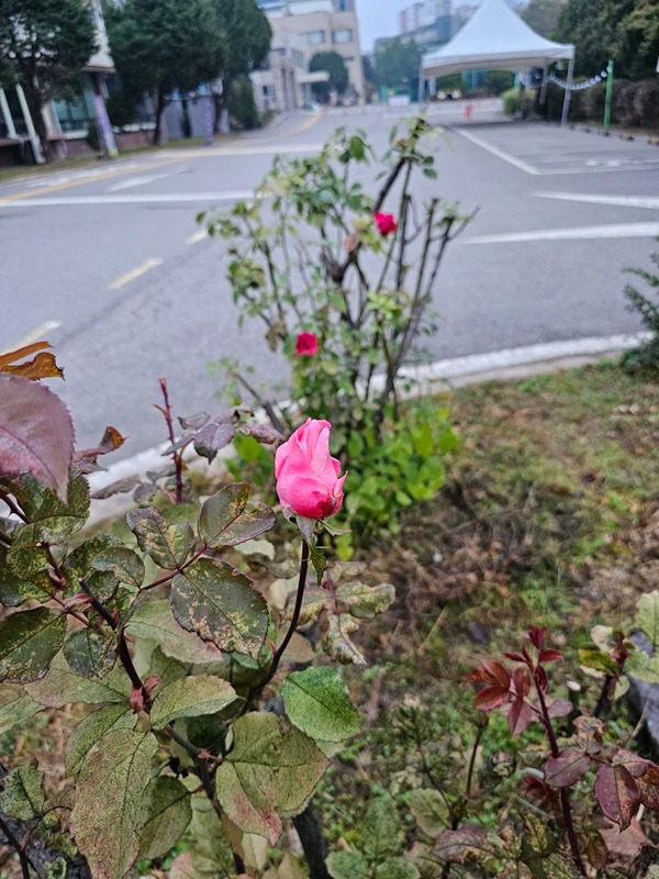 안양부동산독서모임 썸네일