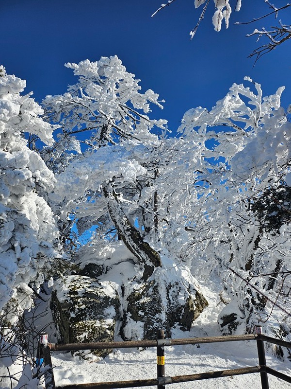 과천 모임 썸네일