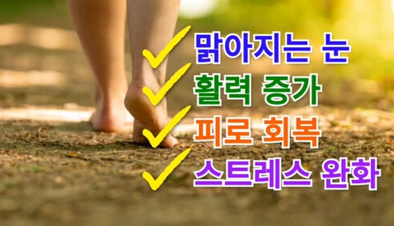 맨발걷기 여수지회 썸네일