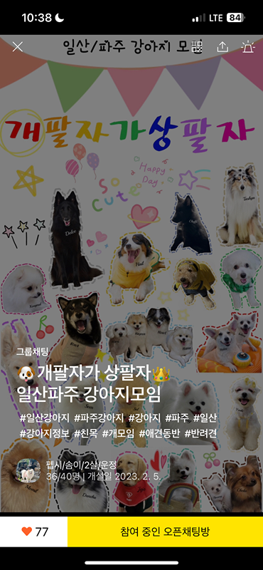 개팔자가 상팔자! 댕댕이 단톡이에요~ 썸네일