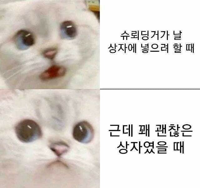 틀려도 되는 과학 수다 모임 썸네일