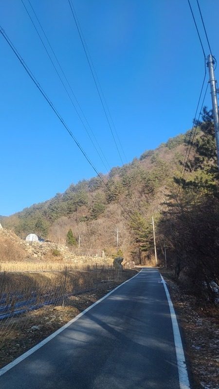 자연치유남선생 (암 허리무릅관절 불치병 가능 썸네일