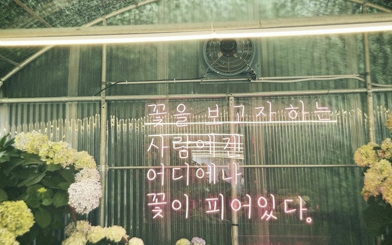 3040당뇨여신들의모임 썸네일