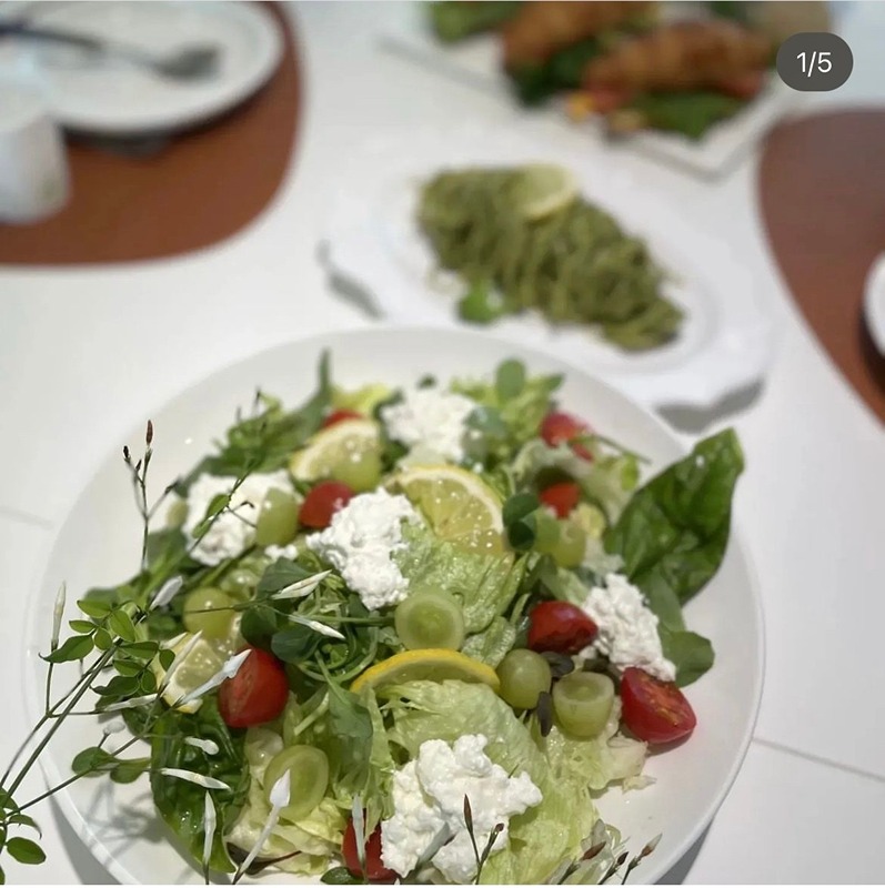 🥗샐러드도시락🥗 만들기 썸네일