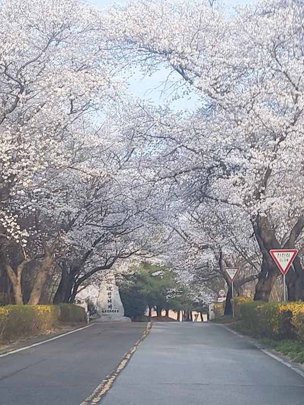 골프에반하다  함께하실까요?