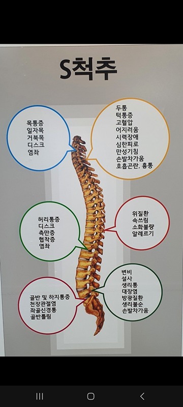 자율신경실조증 썸네일