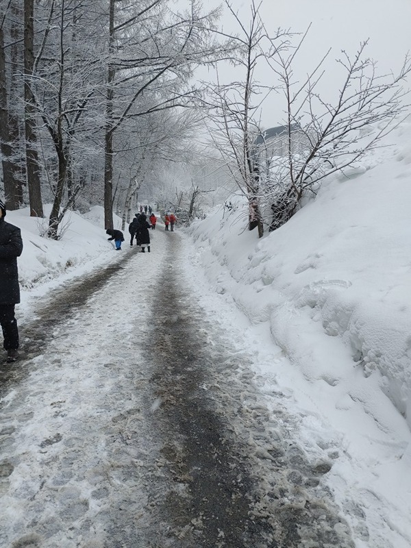 산들애 썸네일