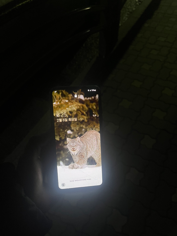 오전 3시 25분경 경남 아파트입구 전봇대 밑에서 썸네일