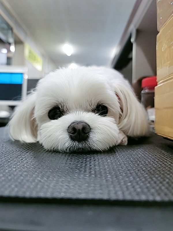 ※반구동 3쿠션※취미