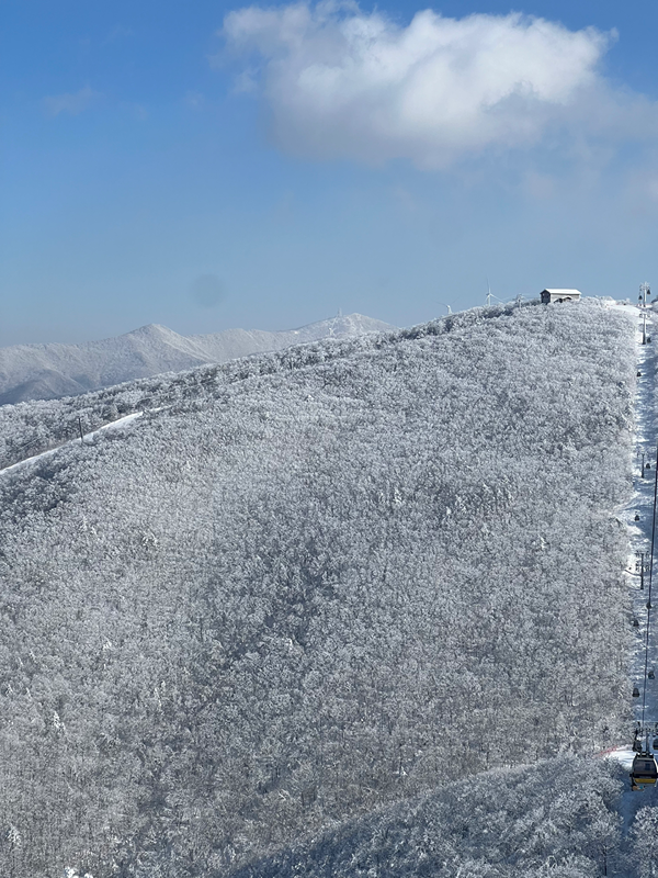 산죽산 썸네일