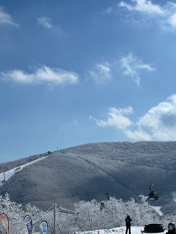 산죽산