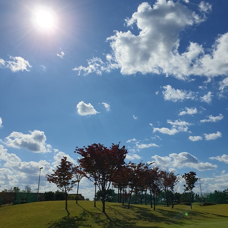 계양구 왕 초보 골린이 천국 썸네일