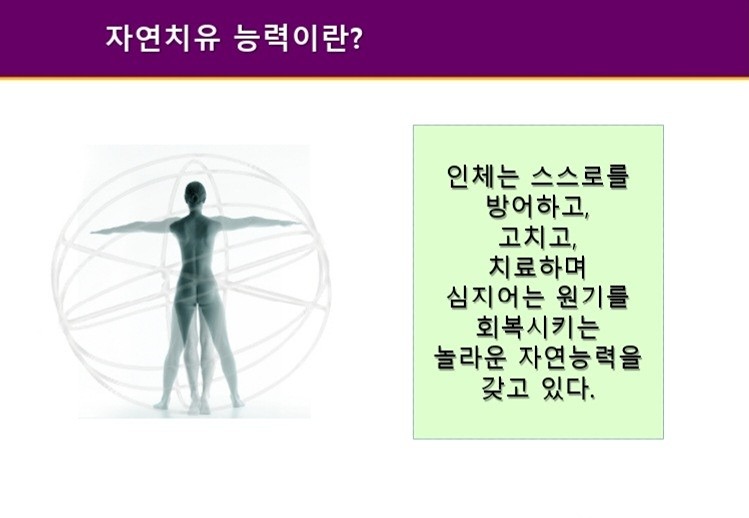 숲속힐링시안#