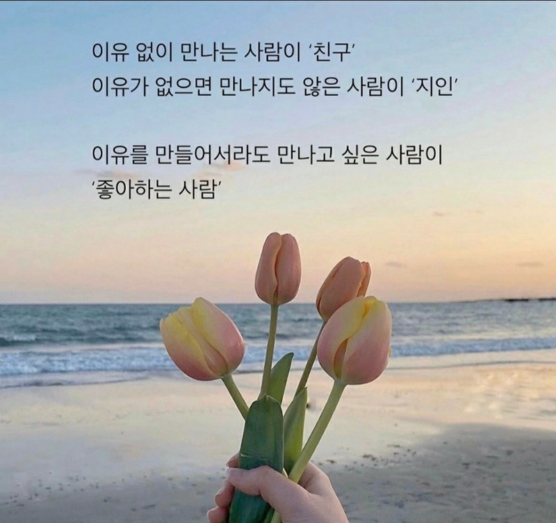 솔백플러스+ 썸네일