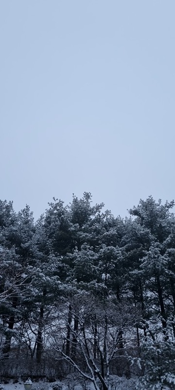 ⛰️  산놀이