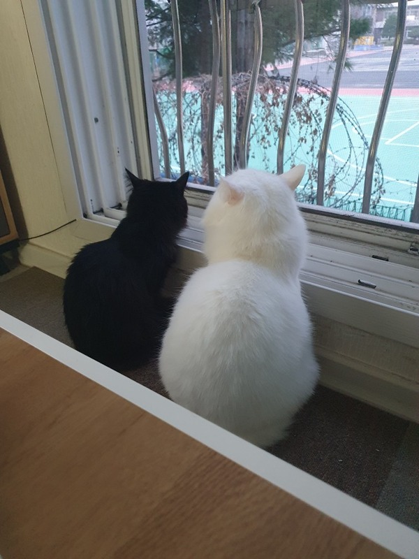 3040대 강남 직장동네친구 만들기♡ 썸네일