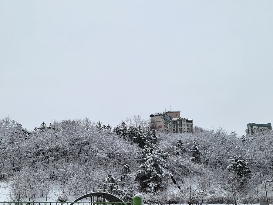 안전운행 썸네일