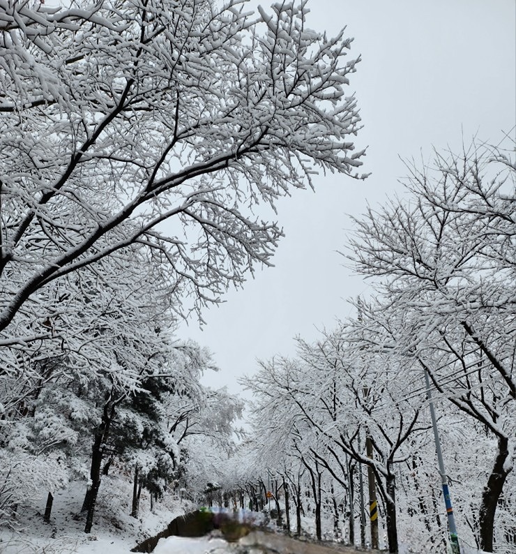 백운호수길  썸네일