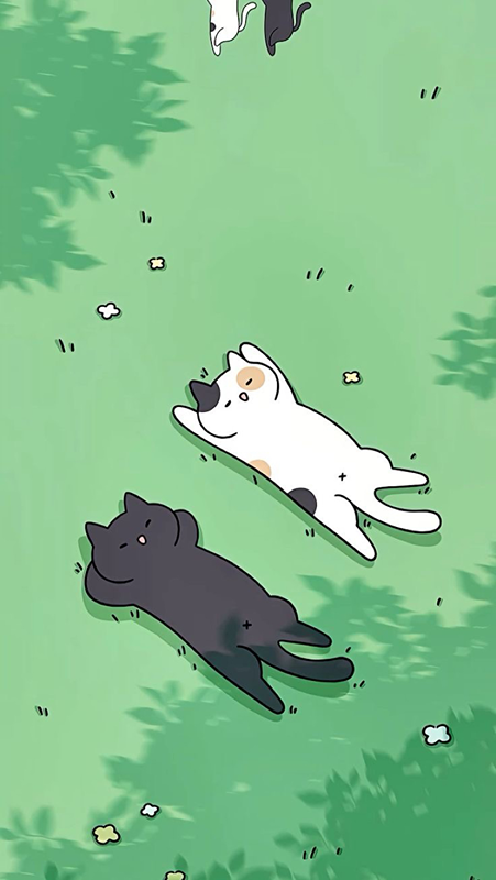 낚시하는 고양이🐈‍⬛유기묘봉사활동 썸네일