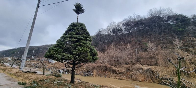 꿈이 있는 사람들 썸네일
