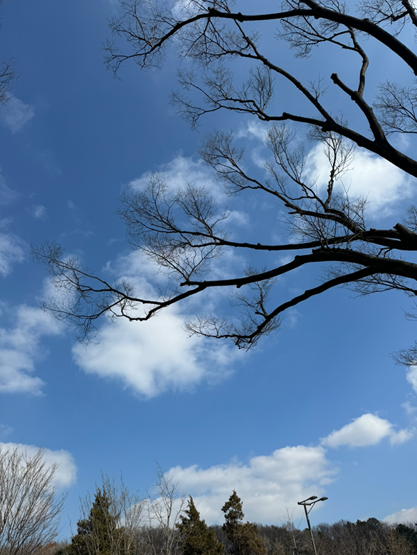 8090 보라매공원, 도림천 산책 썸네일