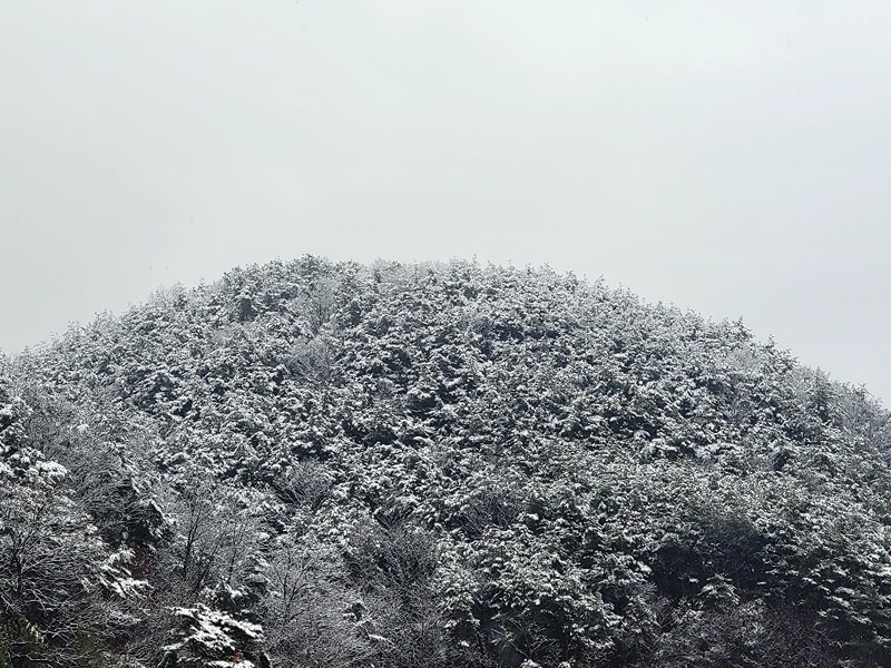 수어모임 썸네일