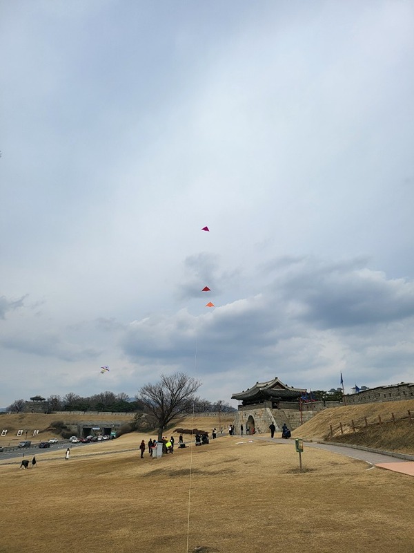 창룡문  연날리기 동호회