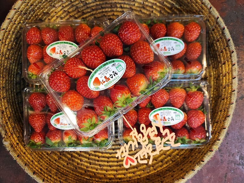 새벽 당일 ��경매로 맛좋은 과일 공동 구매해요 썸네일