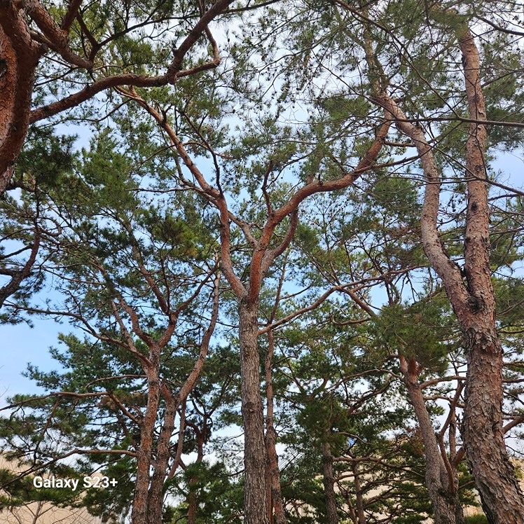 장구 및 경기민요 배우기 썸네일