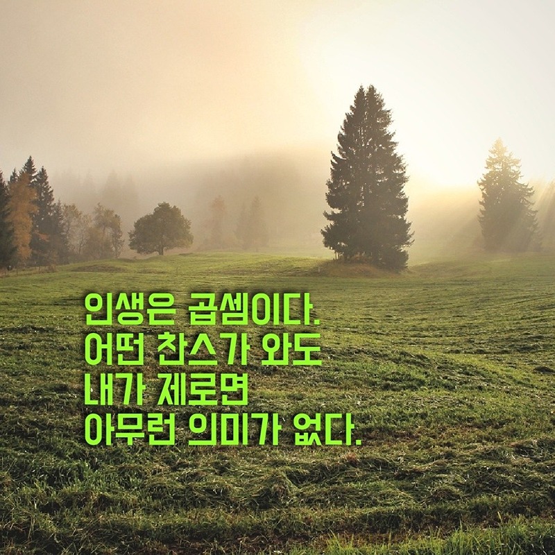 최저가 해외구매 / 공동구매 썸네일