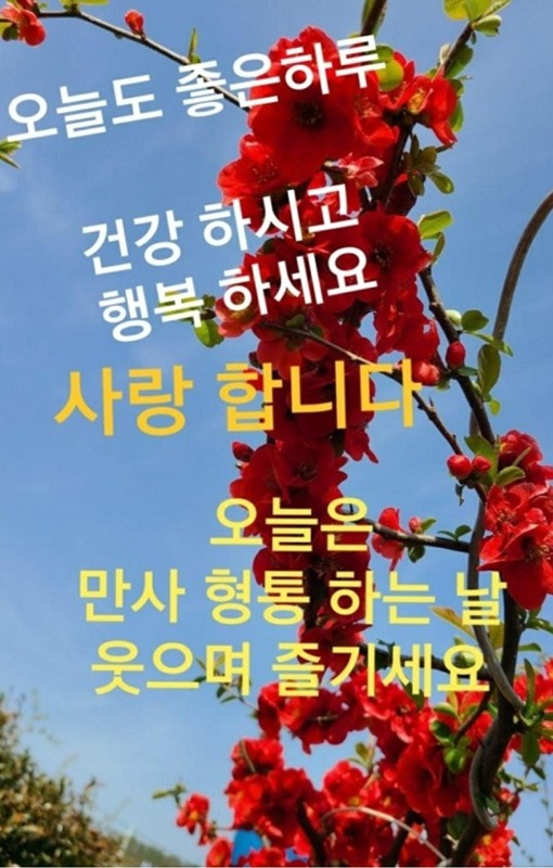 72년생 ~~~86년생  계양구 친목 소통 썸네일