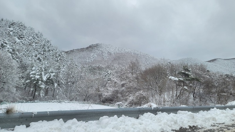 P우리산악회 썸네일