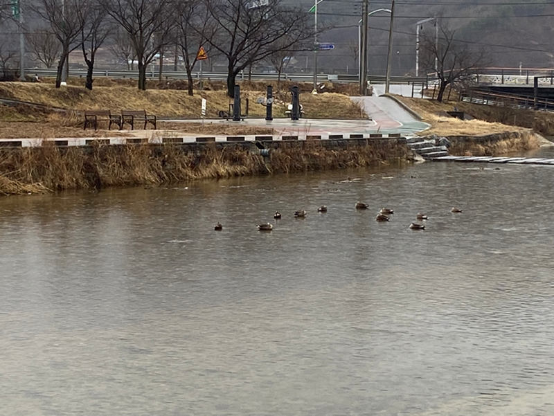 대학생 스터디 썸네일