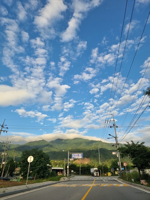 [👋👋👋] 동행만해도 되는 모임 썸네일