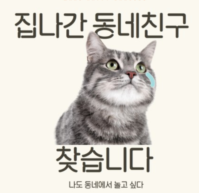 송도연수人 모두 모여라! 동네친구🫶🏼 썸네일