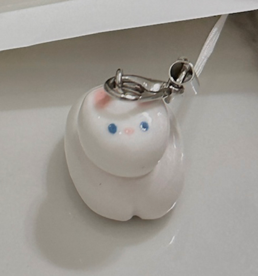 서울역행 공항철도/검암역 토끼 키링 분실 썸네일