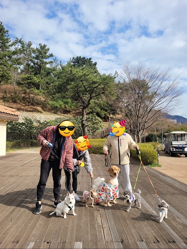 🐶산책하개🐶 썸네일