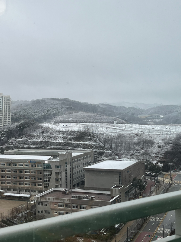 세종시 공구 같이 해요! 썸네일