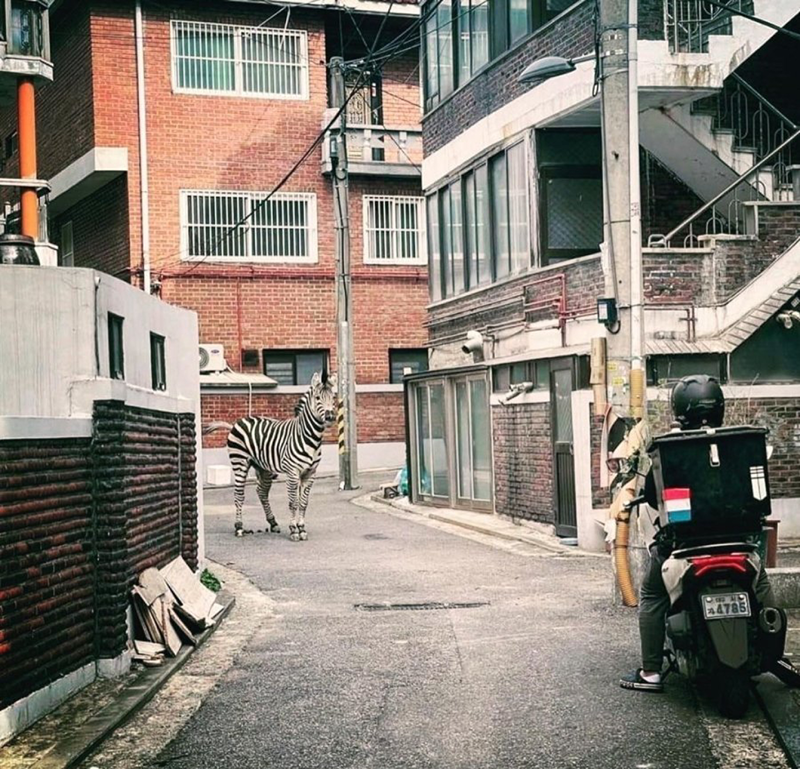 등산가자 썸네일