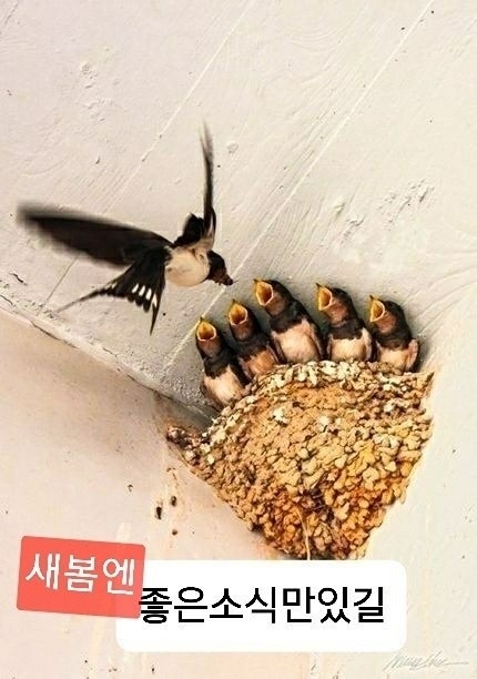 노래가 좋아요 썸네일