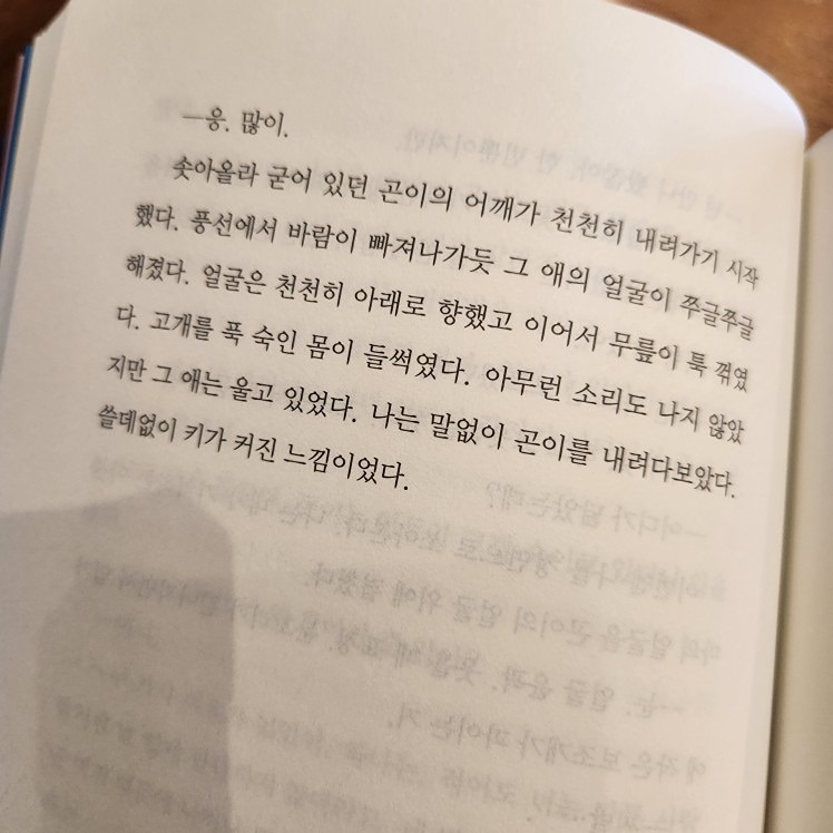✨️3040✨️독서,취미, 가벼운 술🍷 썸네일