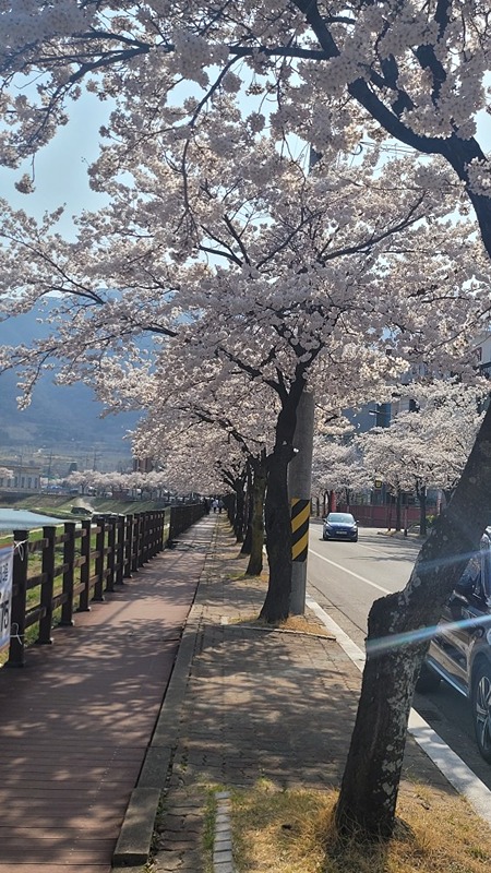 가경동흑토끼엄마들 모이세요 썸네일