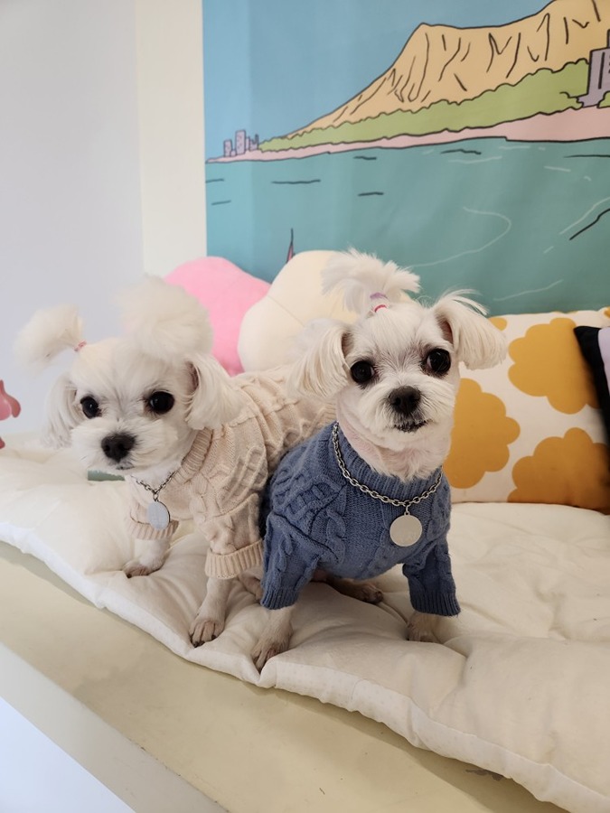  깍지두부공주님 신나는데놀러가자 썸네일
