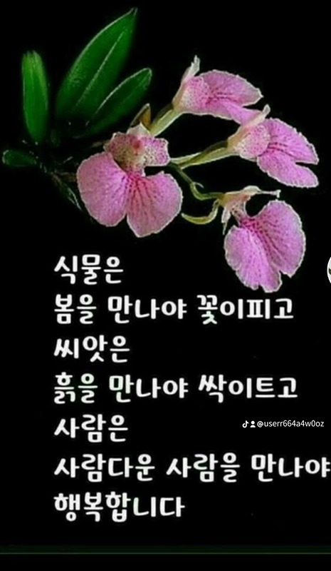 솔로50/60대화방 썸네일