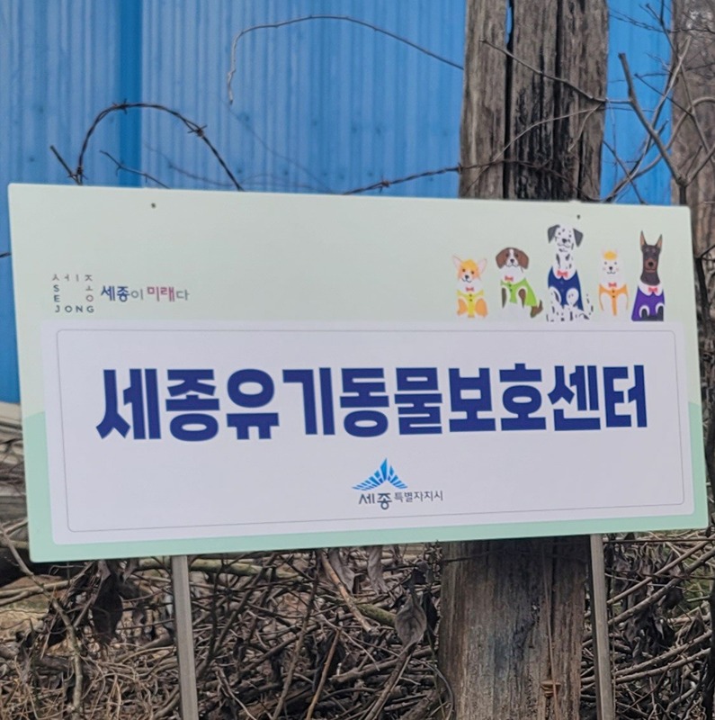 세종유기동물보호센터 봉사활동 정보 공유 썸네일