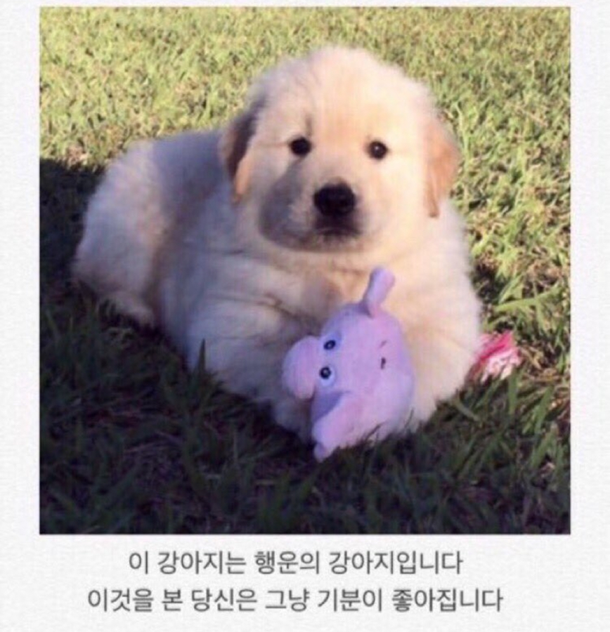수지구청 사거리 2024년 3월 기준 맛집 탑3개씩만 공유해요 우리.  썸네일