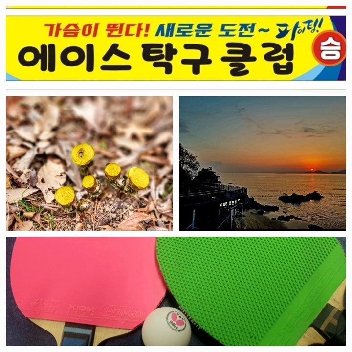 초보자 🏓 탁구교실 썸네일