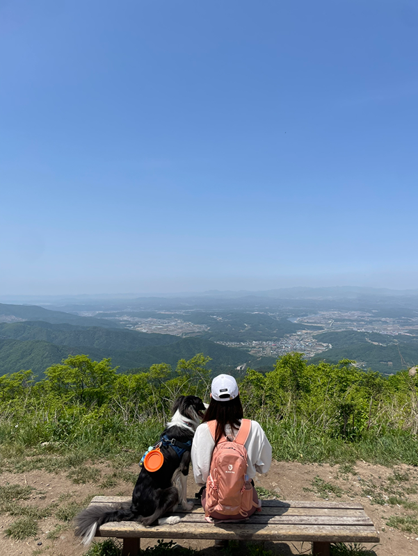 주중 아침등산 모임⛰️ 썸네일