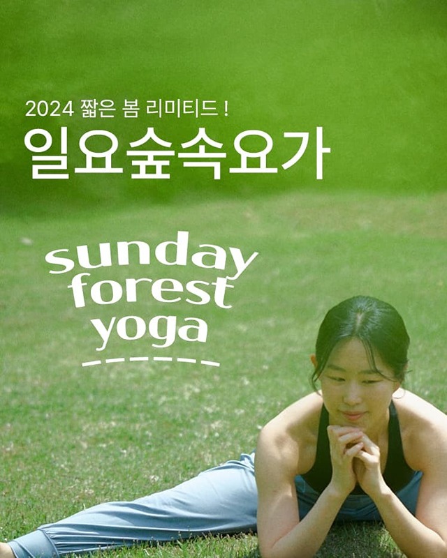 4월 매헌(양재)시민의숲🌳YOGA🌳 썸네일