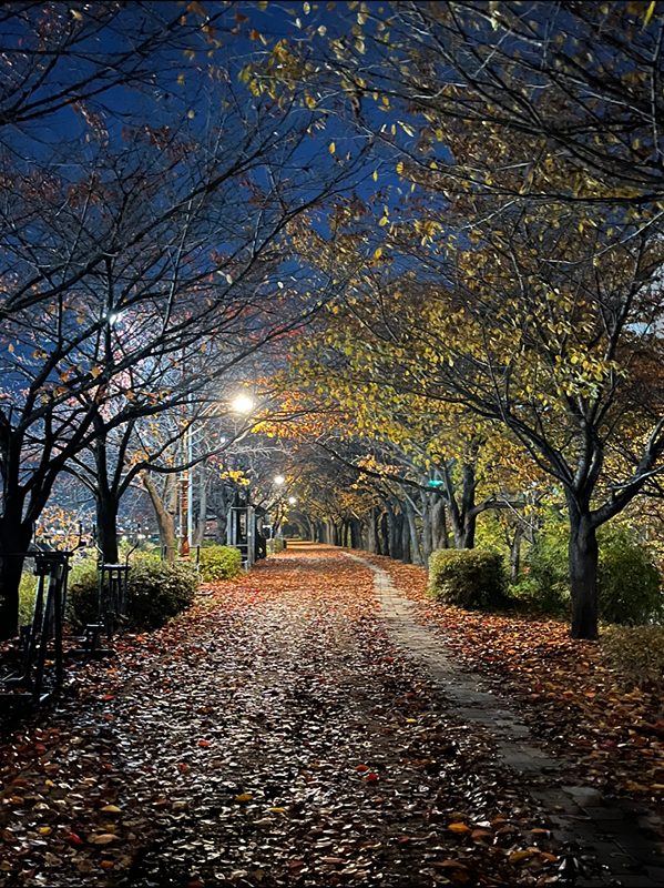 안양천 산책 모임 썸네일